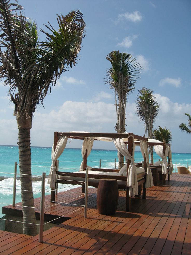 an outdoor seating area with palm trees and the ocean in the background