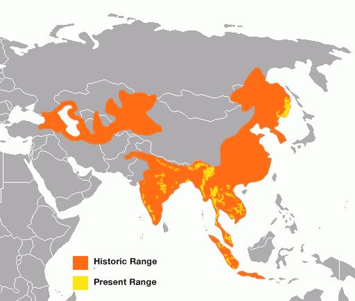 a map with different colored areas in the world, including oranges and yellows