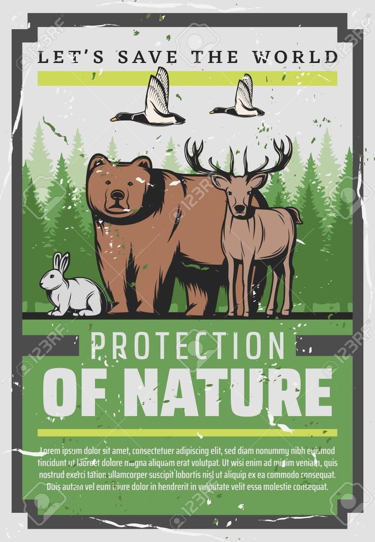 a poster with two animals and birds in the background, says protect the world protection of nature