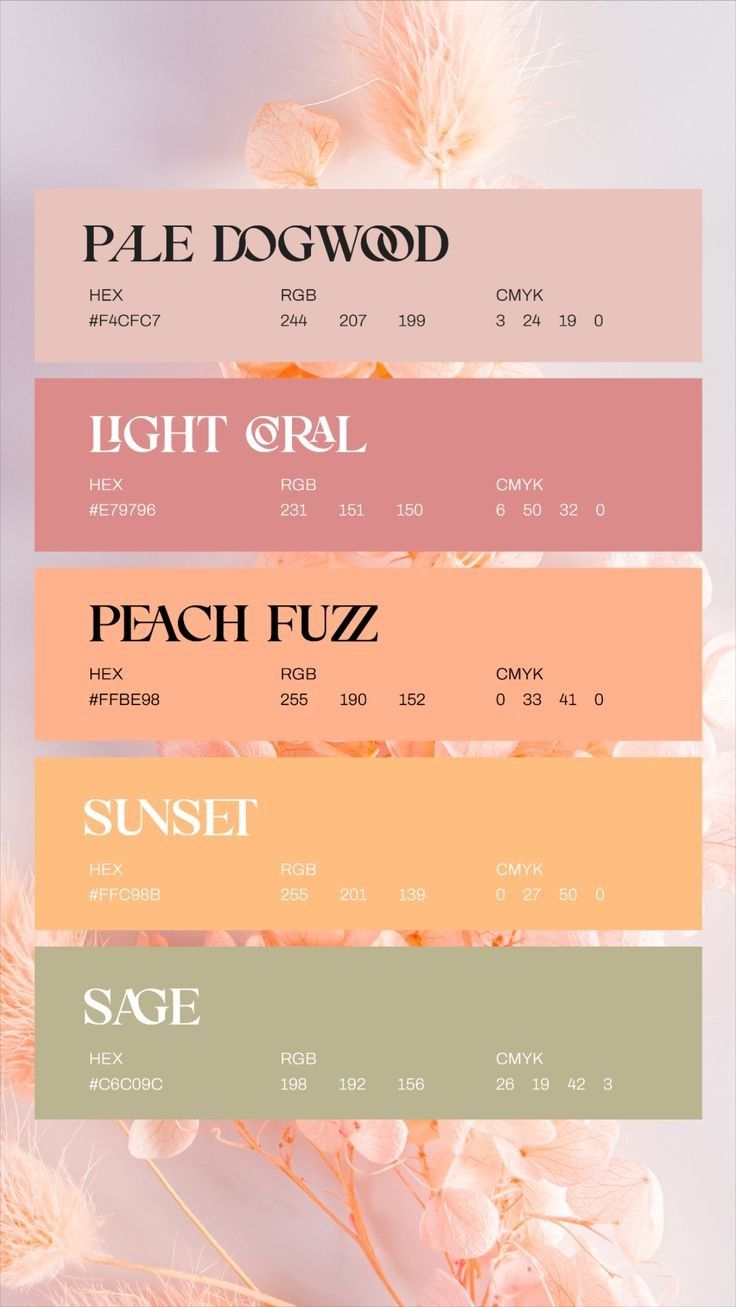 Pin by ♡Ashala♡ on Pins by you in 2024 | Spring color palette, Color ...