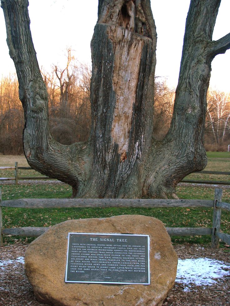 a large rock in front of a tree with a plaque on it's side