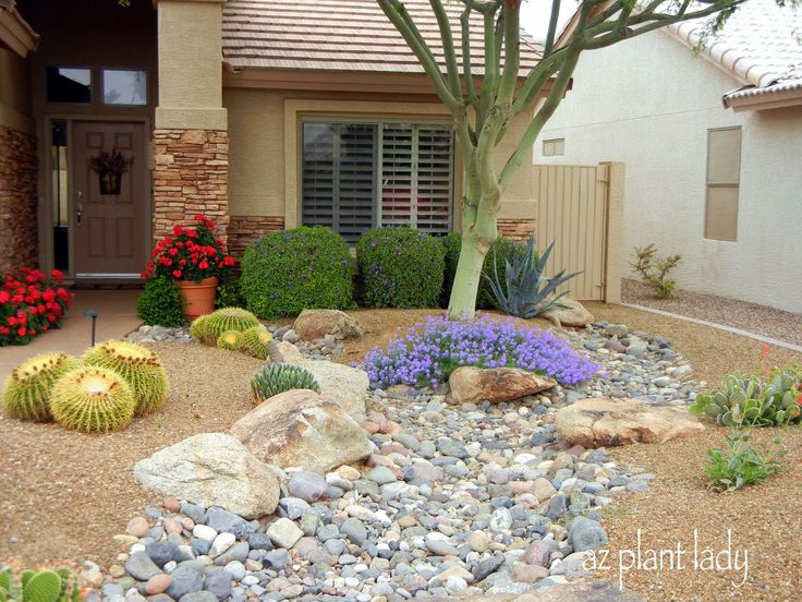 a house with rocks and plants in the front yard