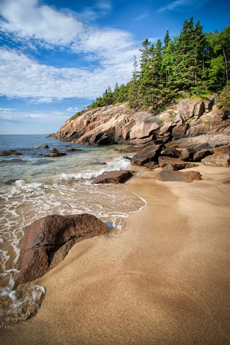 a sandy beach with waves coming in to shore and trees on the cliff side behind it