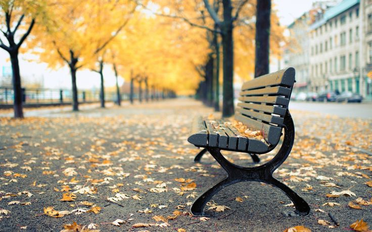 a park bench sitting in the middle of a leaf covered street next to tall buildings