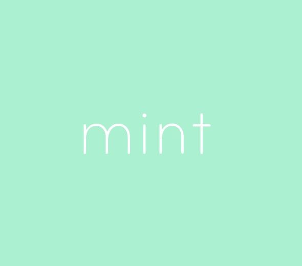 the word mint written in white on a green background