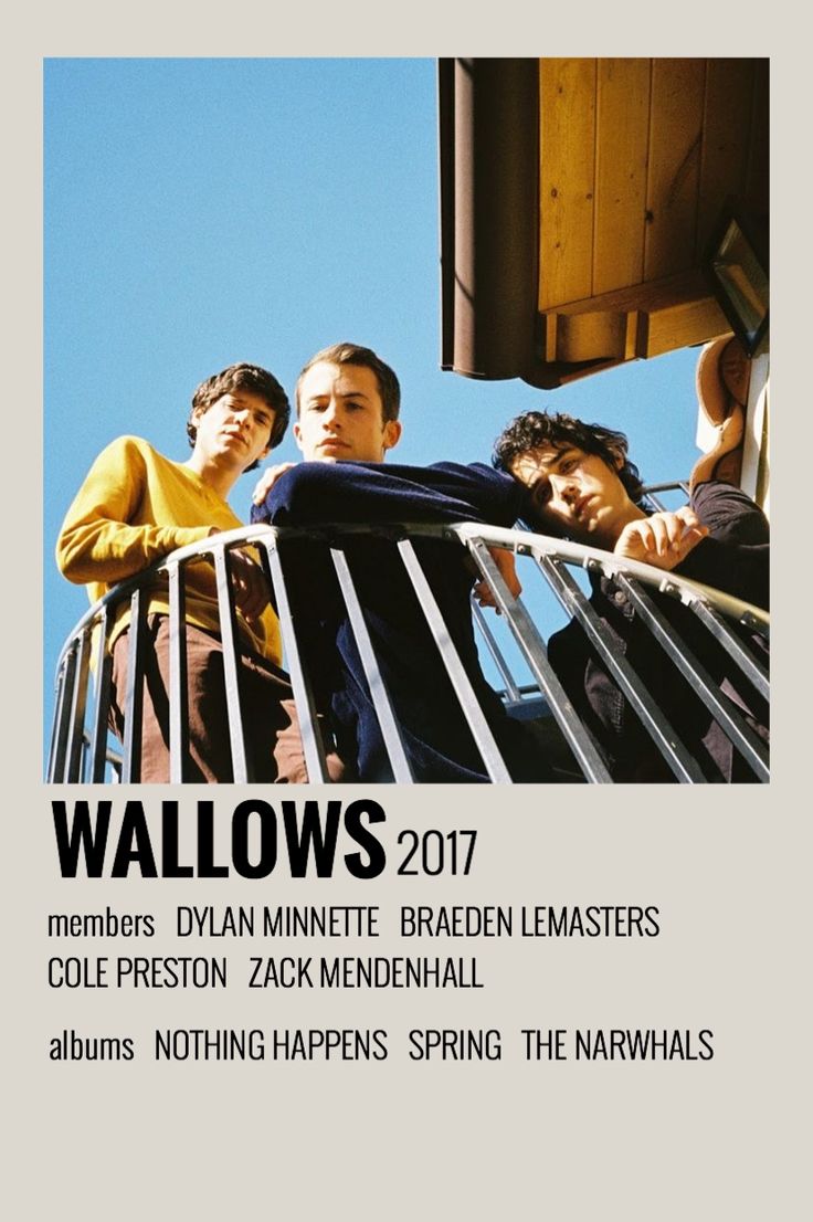 the poster for wallows shows four young men standing on top of a balcony and looking out into the sky