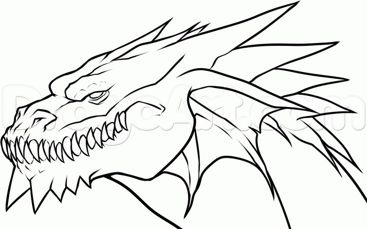 a drawing of a dragon's head