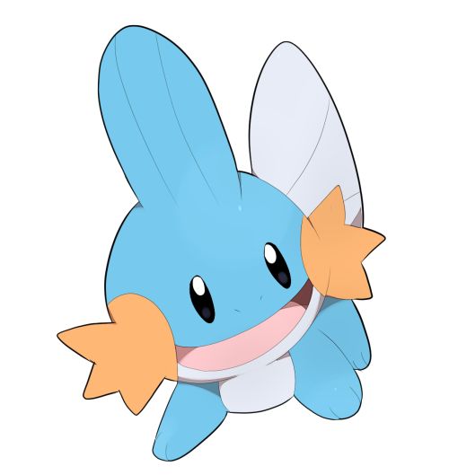 mudkip | Pichu pikachu raichu, Mudkip, Cute pokemon