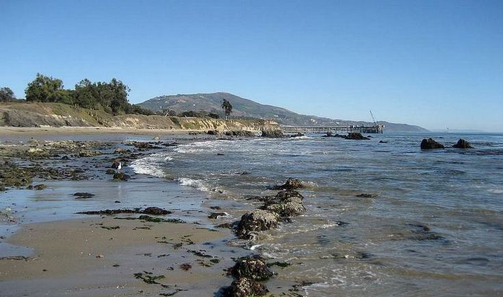 the beach is covered in seaweed and rocks