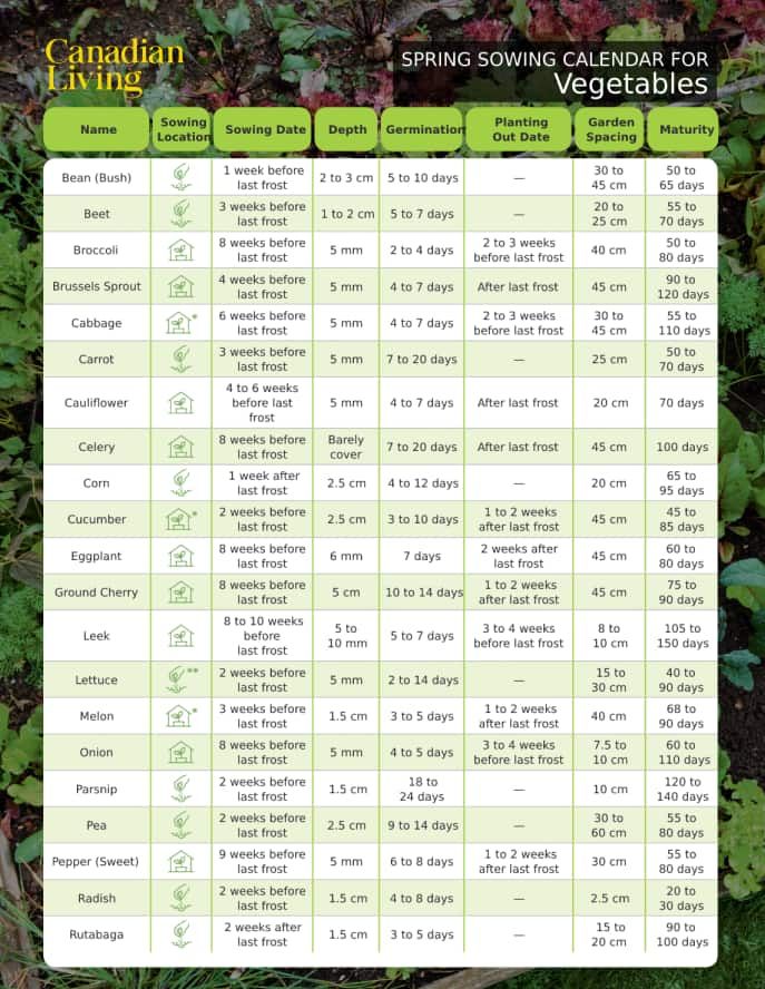 Vegetable and Fresh Herb Sowing Calendar (Free Download) | Canadian ...