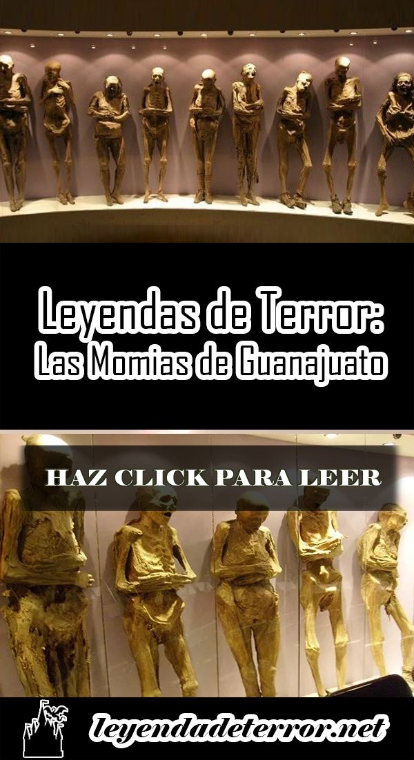 Top 87+ imagen cuentos de terror de momias - Abzlocal.mx