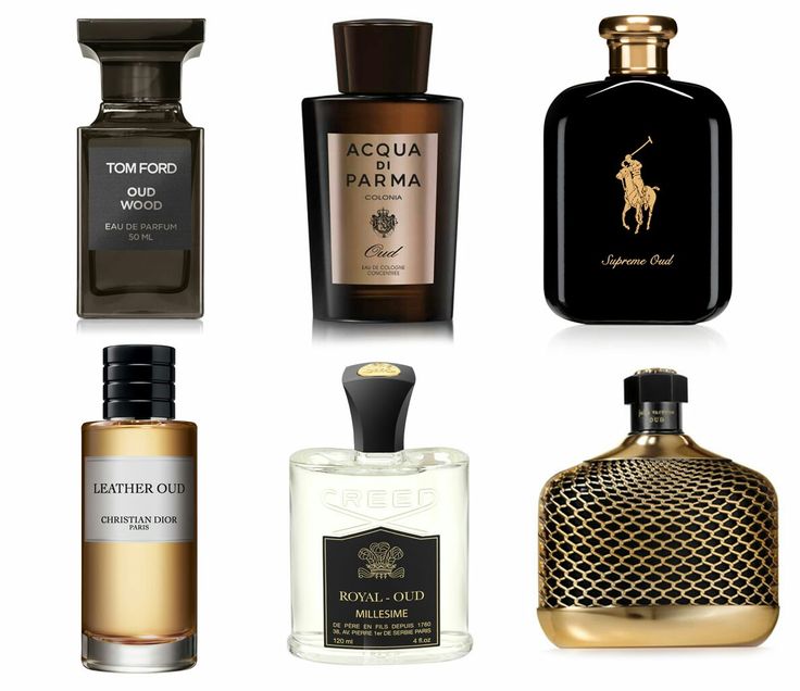 Top Perfumes & Fragrances in wholesale at GM Trading Inc of American Origin Only. Browse Stock list of wholesale Seductive Perfume, Best Mens Cologne, Best Perfume For Men, Oud Fragrance, Der Gentleman, Oud Perfume, Best Fragrance For Men, Top Perfumes, Men's Cologne