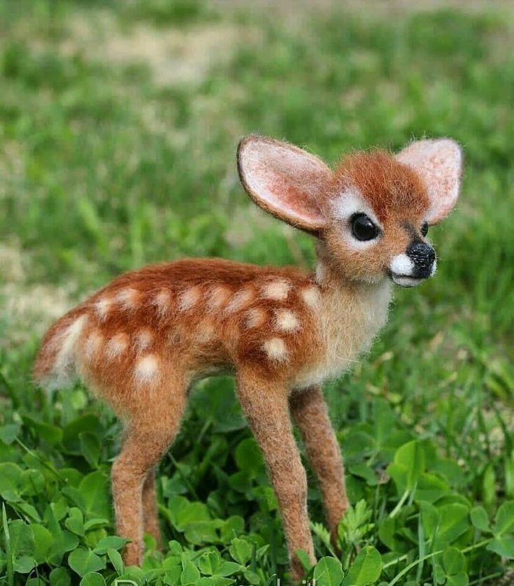 a small deer is standing in the grass