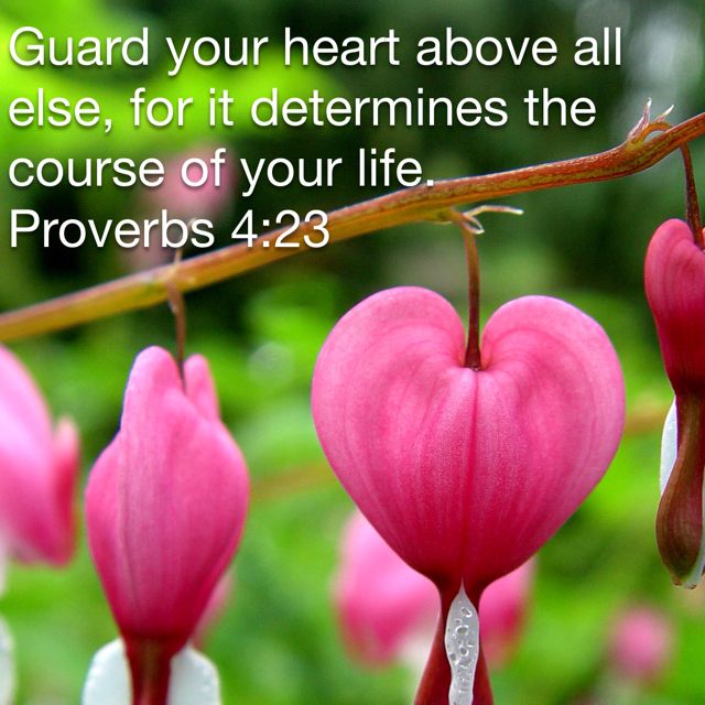 Proverbs 4: 23 Guard your heart above all else | Guard your heart ...