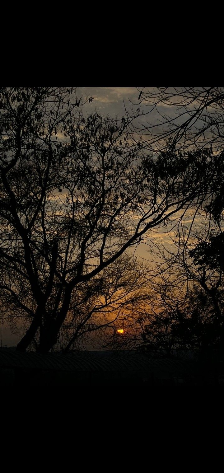 the sun is setting behind some trees in the dark sky with no leaves on it