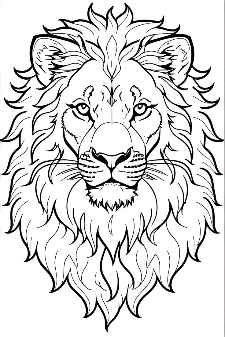 A line drawing portrait of an adult male lion. Lion Coloring, Lion Head Logo, Lion Coloring Pages, Lion Sketch, Lion Drawing, Afrique Art, Lion Painting, Drawing Aesthetic, Male Lion