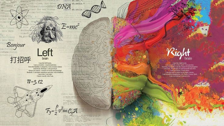 left right brain side - Google Search Brain Painting, Left Brain Right Brain, Macbook Pro Skin, Brain Illustration, Macbook Decal, Macbook Skin, Right Brain, Communication Art, Text Overlay