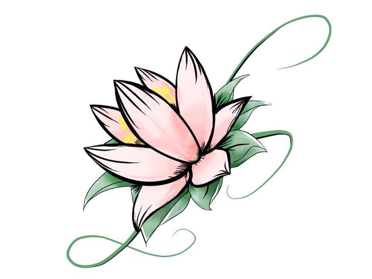 an image of a pink flower with green leaves on the bottom right hand corner and text that reads, what com flowers net images may be subject to copyright