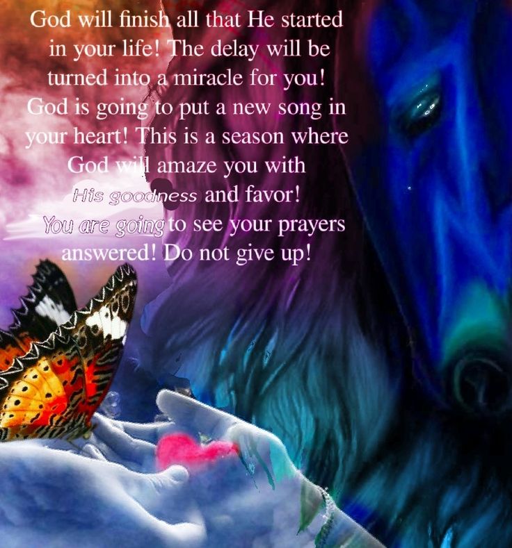 a painting of a dog and a butterfly with the words god will finish all that he started in your life