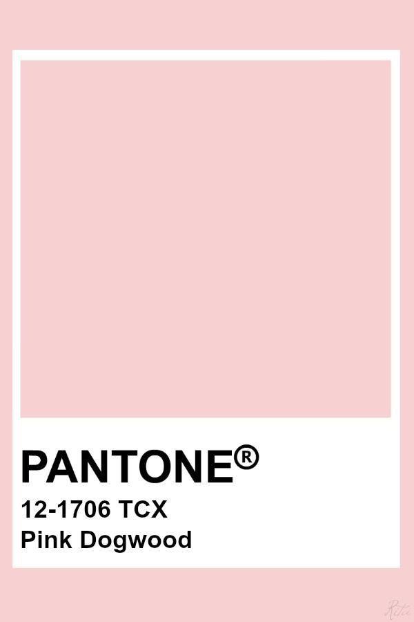 Wonderful Baby Pink Pantone 072c Grey Colour