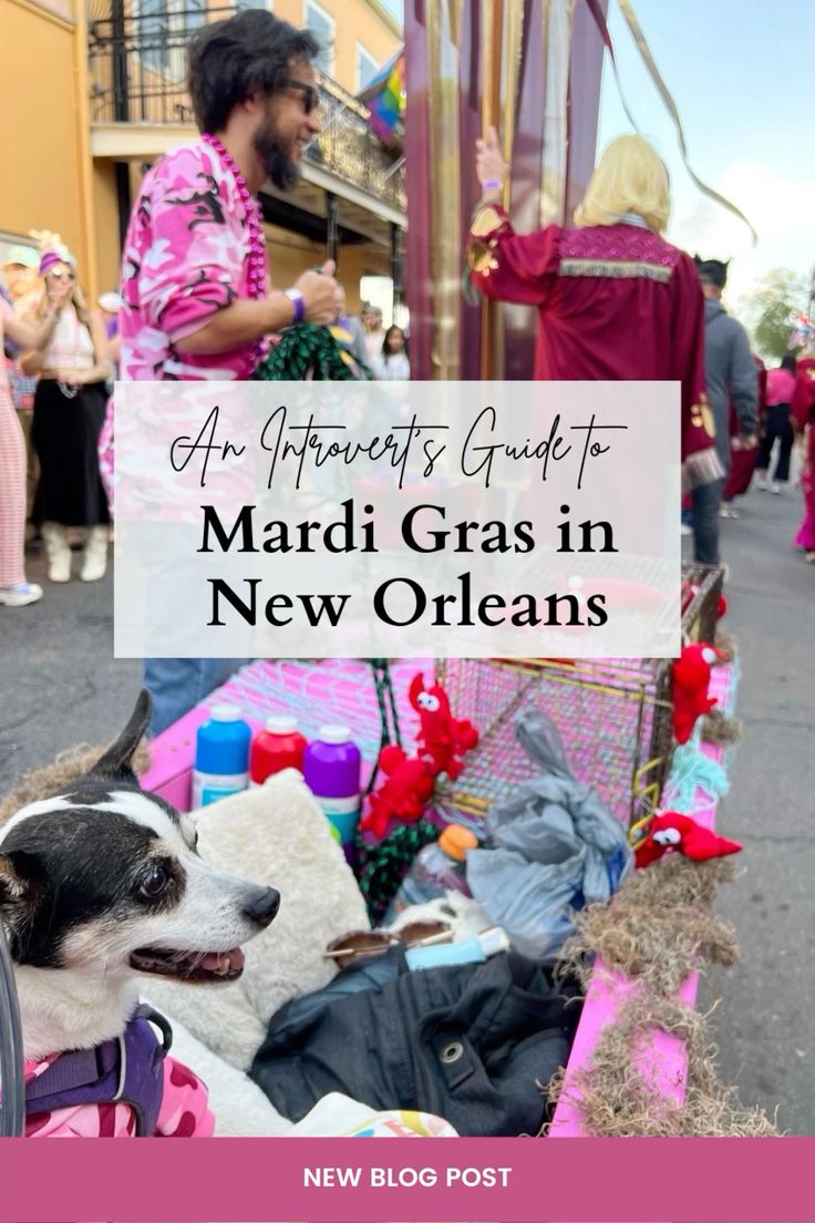 An Introvert’s Guide to Mardi Gras in New Orleans in 2024 | City trip ...