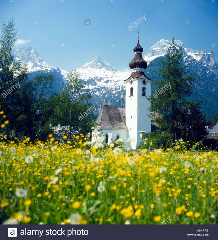 a church in the middle of a field with yellow flowers and mountains in the background