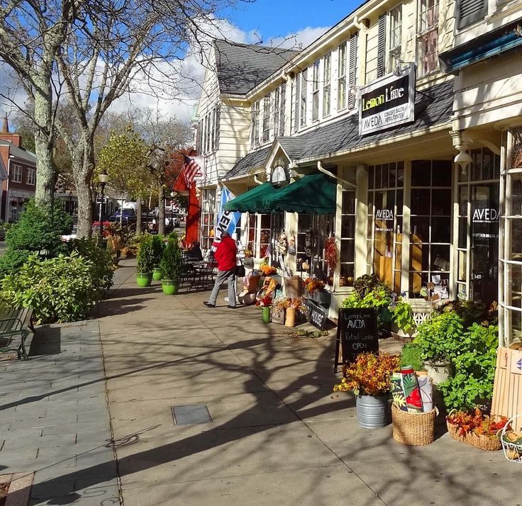 the sidewalk is lined with potted plants and flower pots on each side of the street