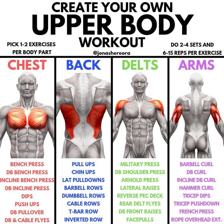 the upper body workout chart shows how to do back and chest exercises for each individual