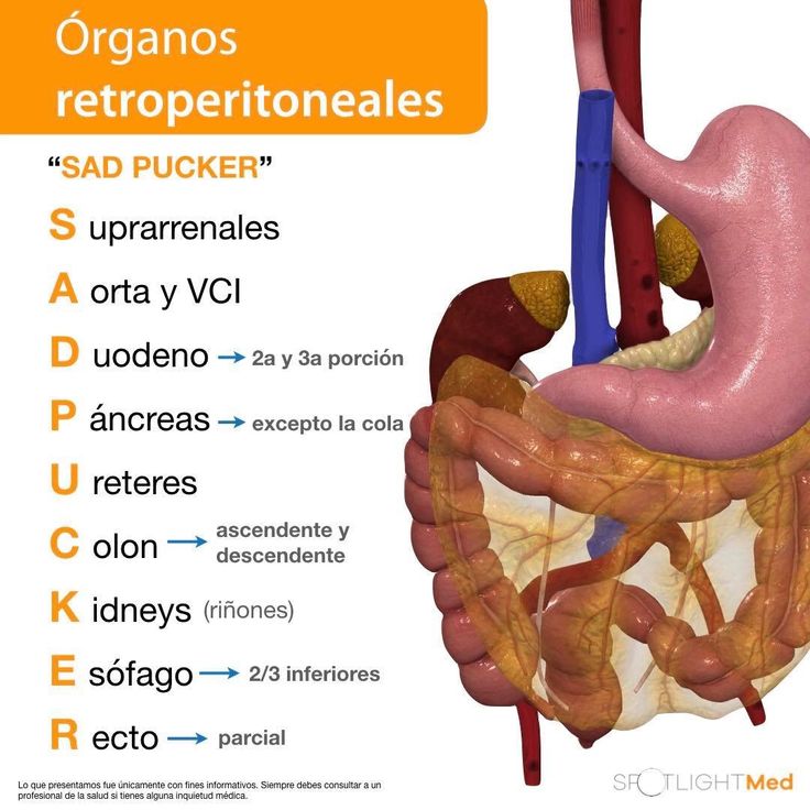 an image of the organ and its functions in human body with captioning below