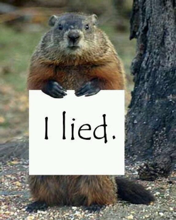 a groundhog holding a sign that says i died