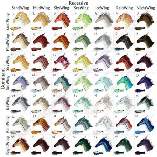 the different types of sea horses are shown in this chart, which shows them's colors