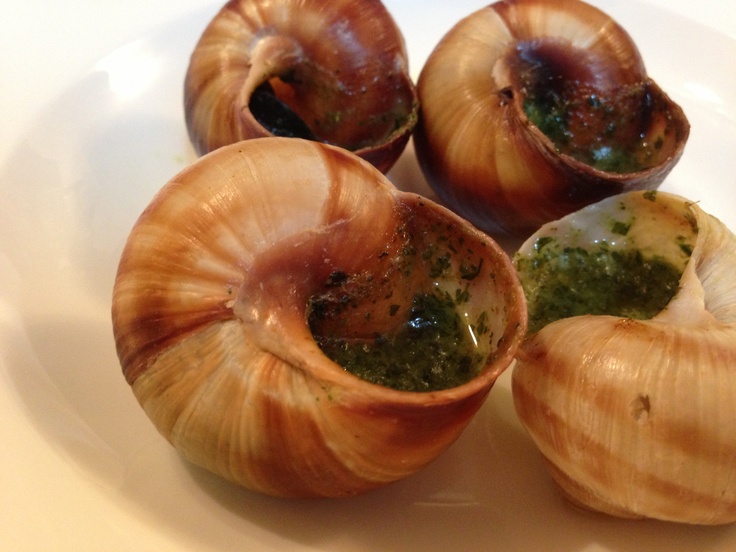 four snails are sitting on a white plate