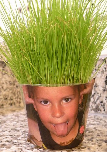 a young boy sticking his tongue out with some grass growing in it's head