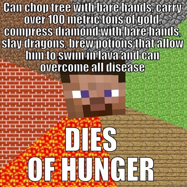 an image of a minecraft poster with the words dies of hunger on it