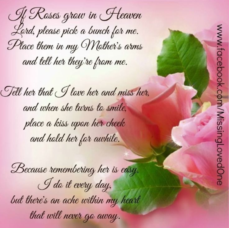 a pink rose with green leaves on it's side and poem written in the middle