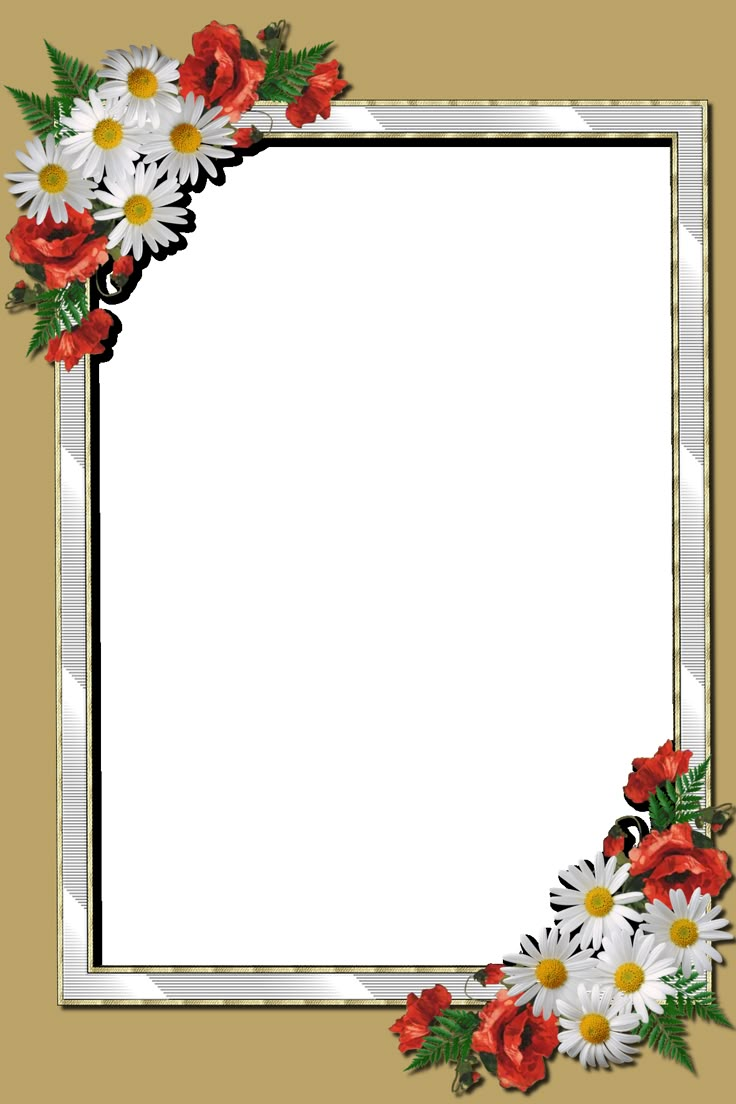 Decorative PNG frame | Birthday background design, Photo art frame ...