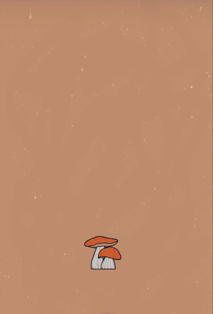 Mushroom phone wallpaper | Autumn phone wallpaper, Iphone wallpaper ...