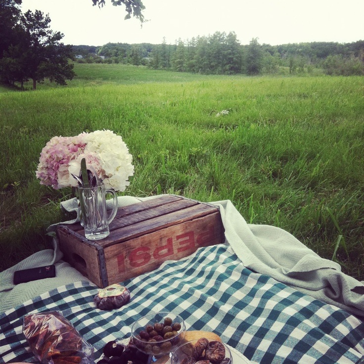 a picnic blanket with food on it and flowers in a vase sitting on the table