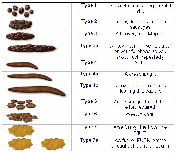 poop stool color changes color chart and meaning healthy concept stock ...