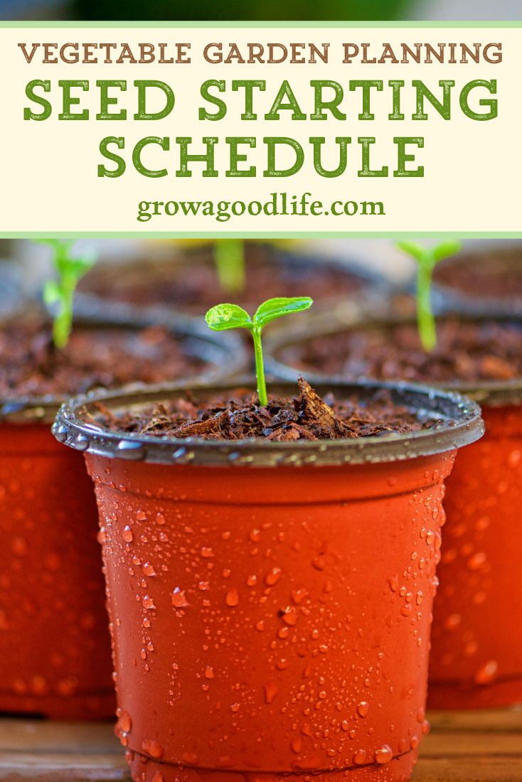 How to Make a Seed Starting Schedule | Vegetable garden planning, Veg ...