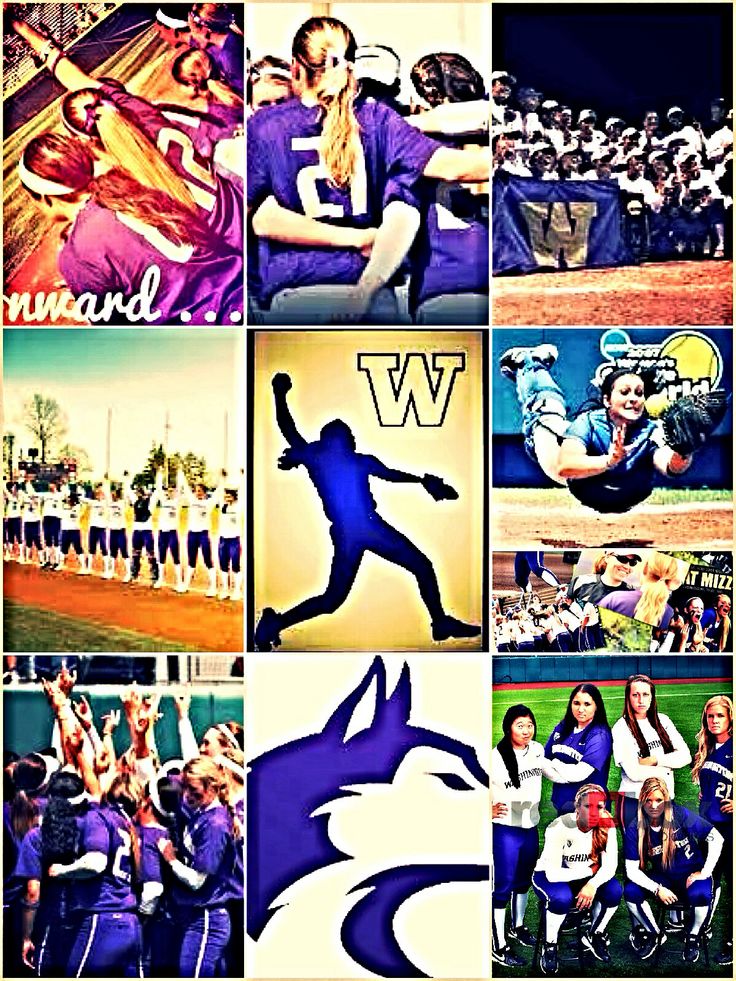 the collage shows many different images of people in sports uniforms, including women's and men's softball teams