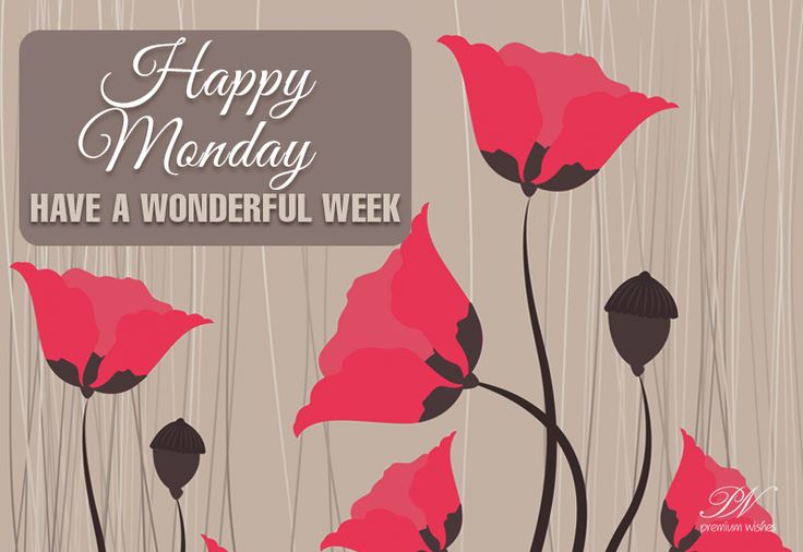 happy monday have a wonderful week card with pink poppies on the stems and brown background