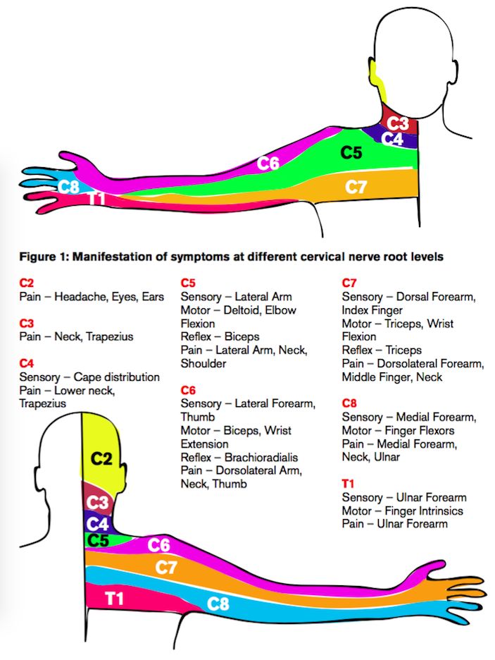 an image of the human body with different colors and numbers on it's arms