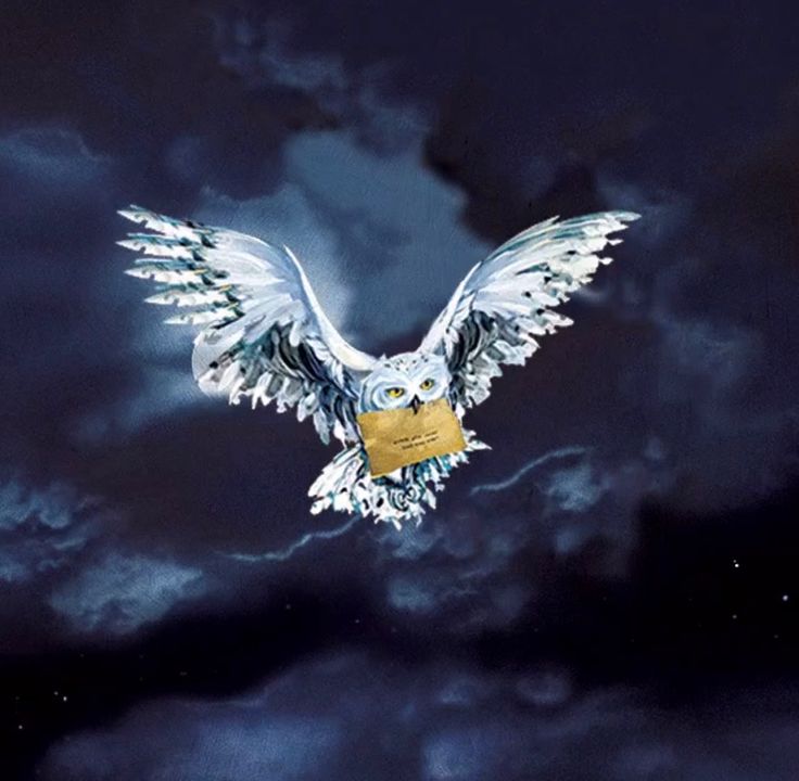 an owl flying through the night sky with its wings spread