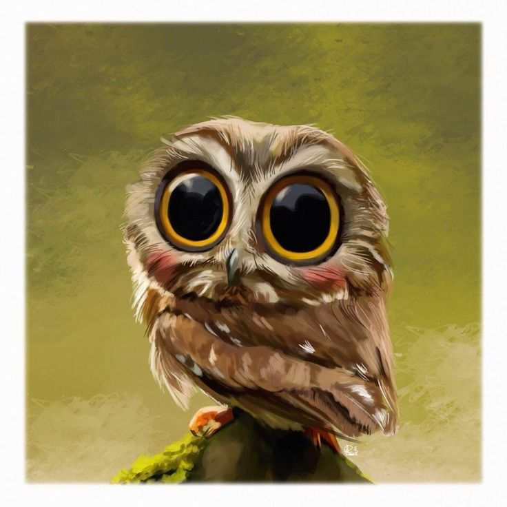 an owl with big yellow eyes sitting on top of a tree branch in front of a green background