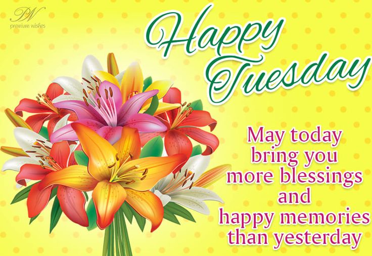 Happy Tuesday – May today bring you more blessings and happy memories ...