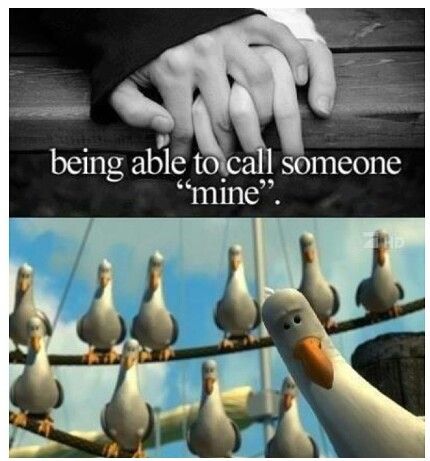 someone is holding their hand up to some birds on a line with the caption being able to call someone mine