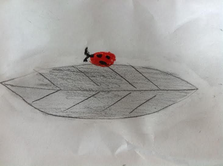 a drawing of a ladybug sitting on top of a leaf with an arrow