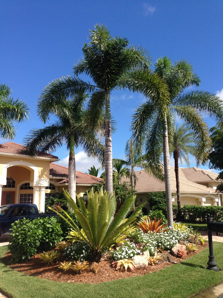 palm trees and landscaping in front of a house