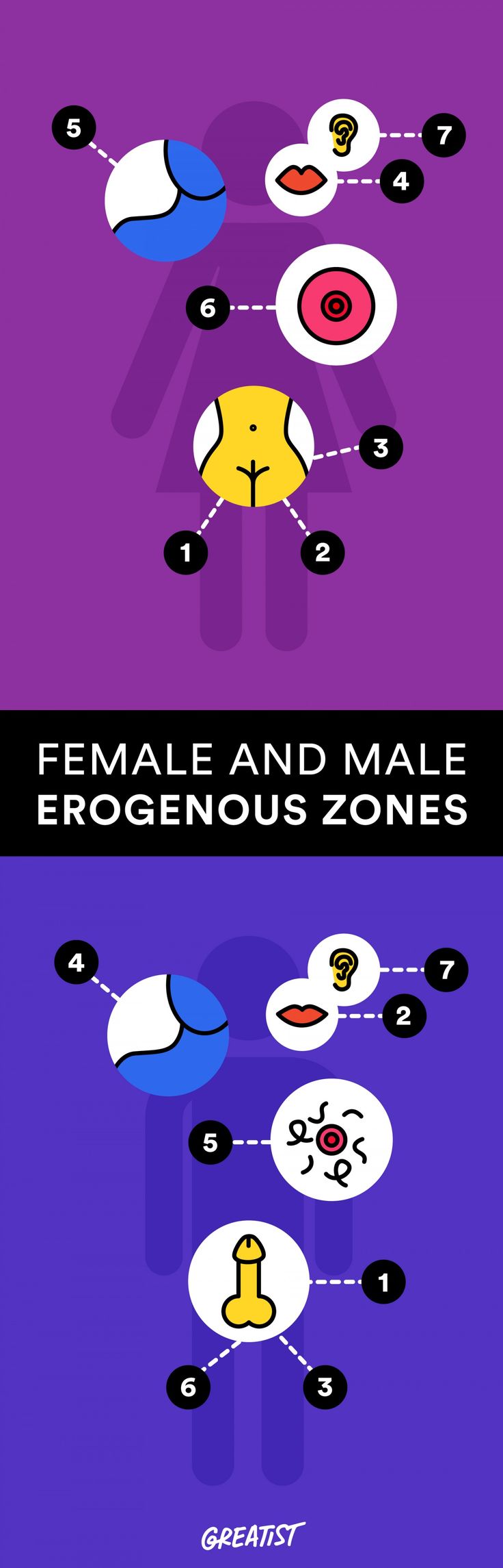 The Seven Erogenous Zones Chart Friends